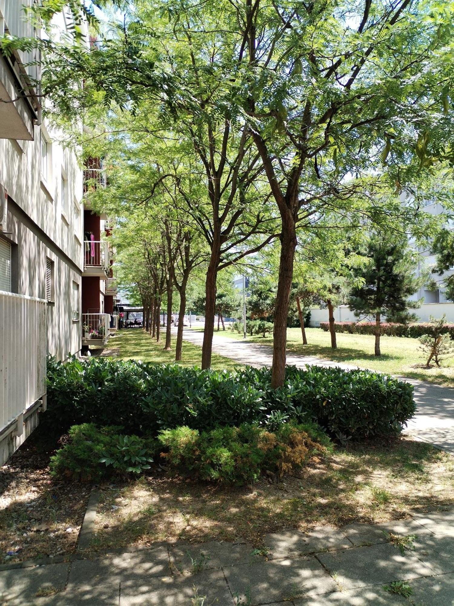 Apartman Ivana 萨格勒布 外观 照片